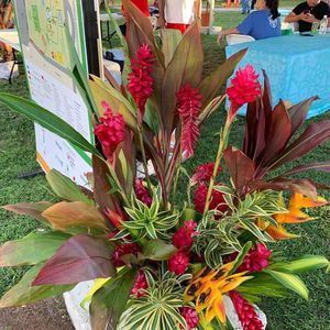 Meet your Posher, Pam